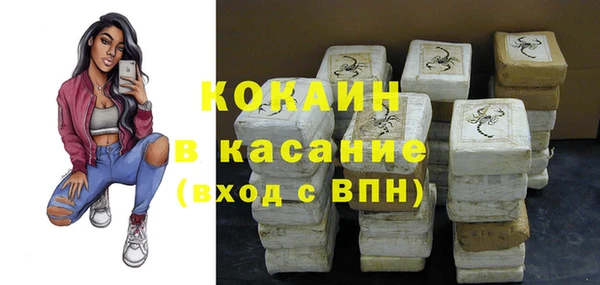 прущие грибы Белоозёрский