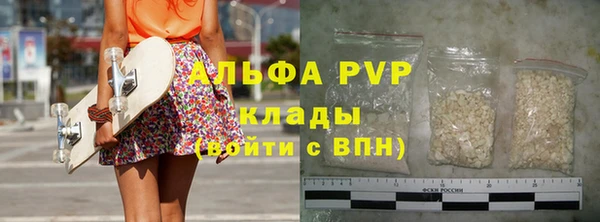 прущие грибы Белоозёрский