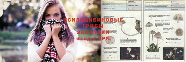 прущие грибы Белоозёрский