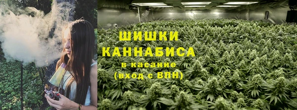 прущие грибы Белоозёрский