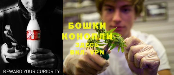 прущие грибы Белоозёрский
