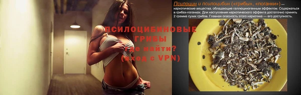 СК Белокуриха