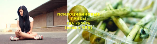прущие грибы Белоозёрский