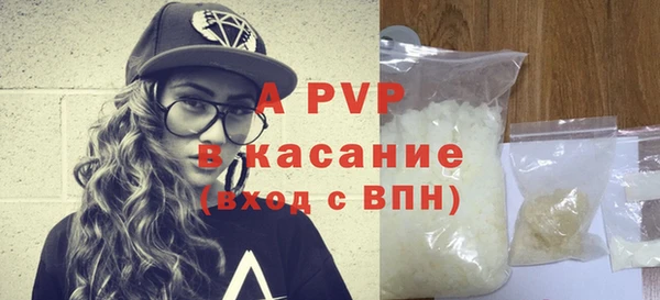 прущие грибы Белоозёрский