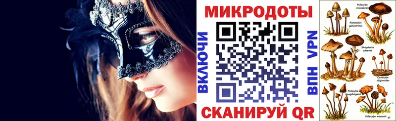 shop состав Болохово Галлюциногенные грибы Psilocybine cubensis